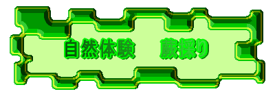自然体験　　蕨採り